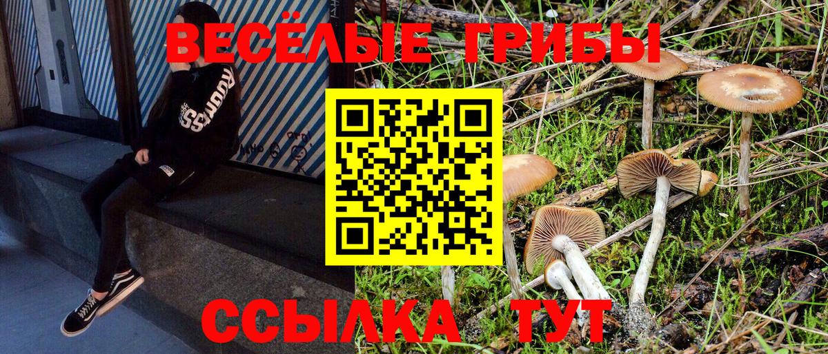 Мариинск  Псилоцибиновые грибы мухоморы  Вход с VPN 