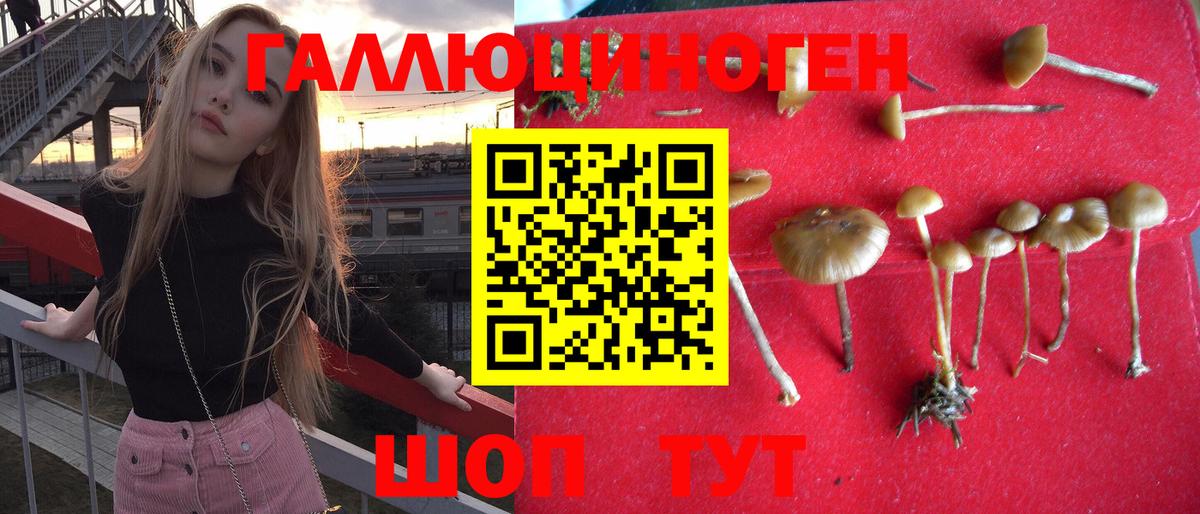 Галлюциногенные грибы прущие грибы Мариинск